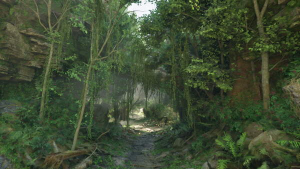 Sentiero tra alberi e montagne con atmosfera serena